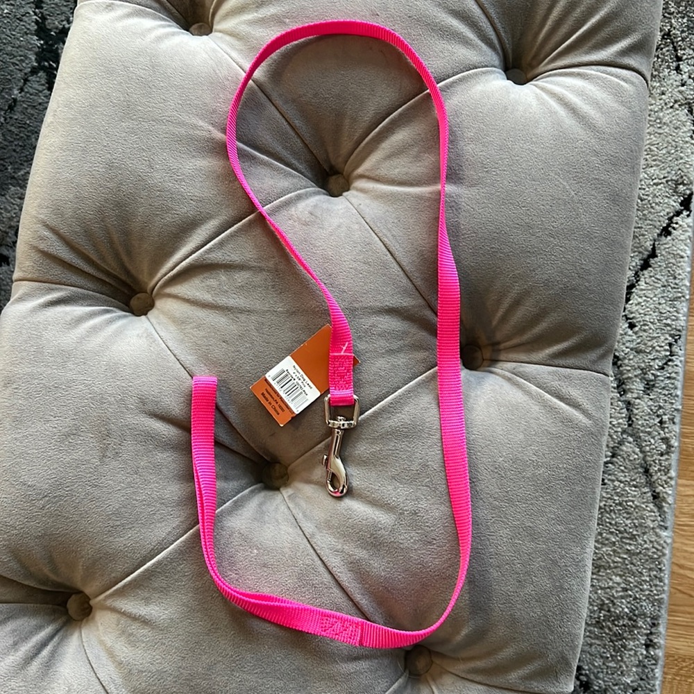 Pink 4’ Nylon Dog Leash with Metal Clip